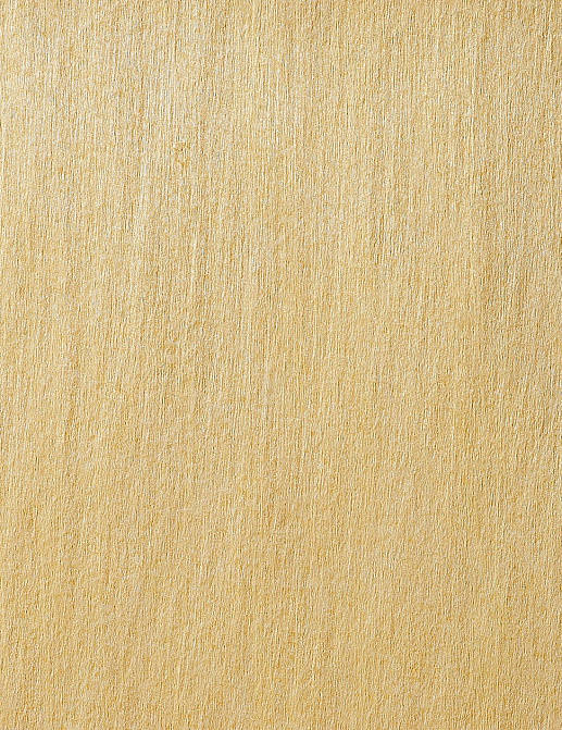 Обои Texdecor Archi Privilege 90471062
