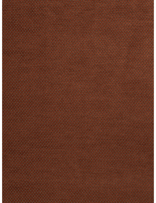 Ткань Fabricut Chromatics Vol.XXIII Sedona Bazlama/Spice
