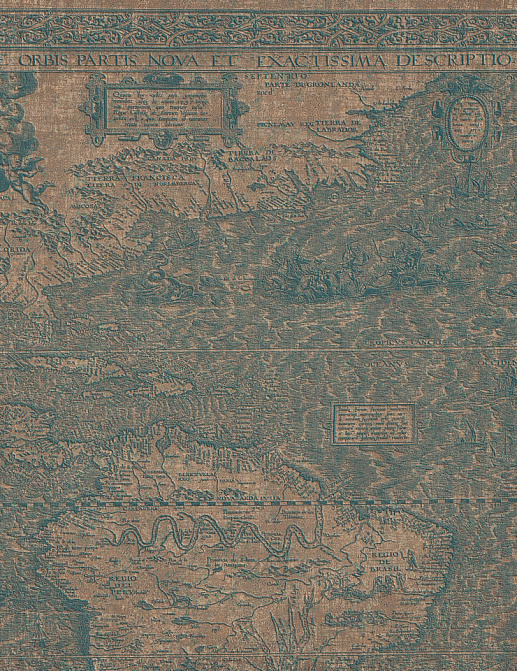 Панно и фотообои Italreflexes Macro Map-010/Copper