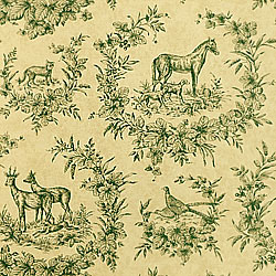 Ткань Thibaut Toile Resource II F99757