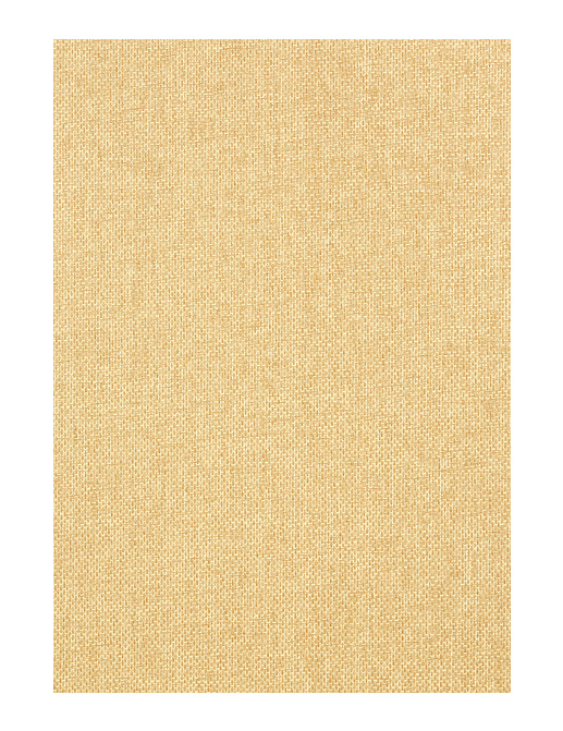 Обои Thibaut Grasscloth Resource III T41123