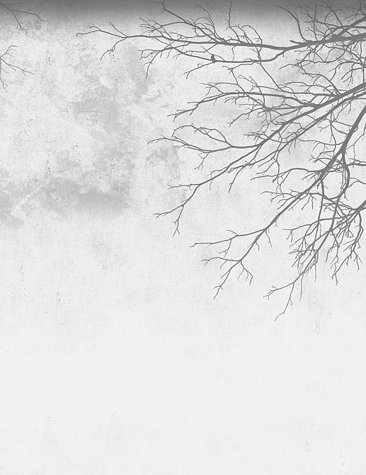 Обои Wall Street Vetve 19484