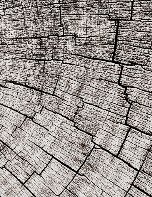 Панно и фотообои Glamora Creative Wallcovering GLCR023A