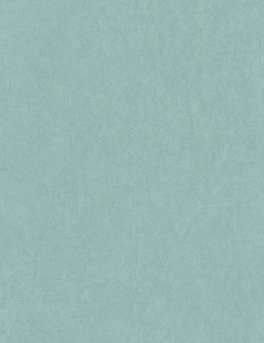 Обои Casadeco Cotton Touch COTO82386226