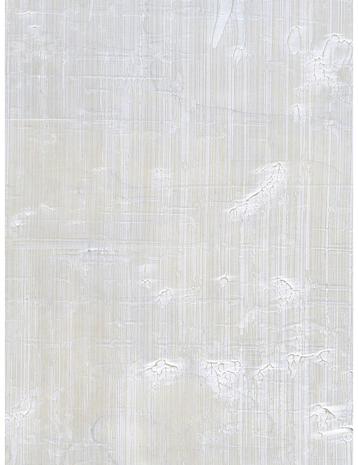 Обои Holland & Sherry Modern Legacy DEWP2211/Samsa Gray White