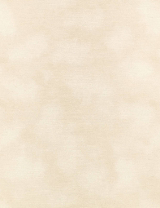 Обои Kirkby Design Wallcoverings vol.1 WK818/02