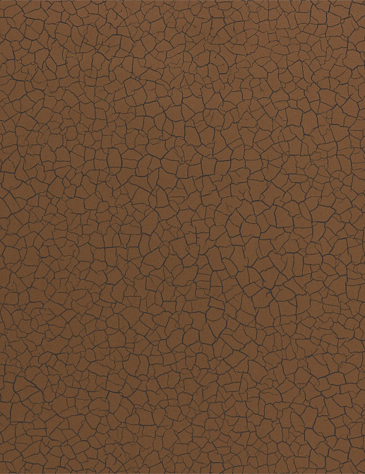 Обои Zoffany Akaishi 312530