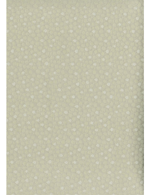 Ткань Nina Campbell Woodsford Weaves NCF4081-03