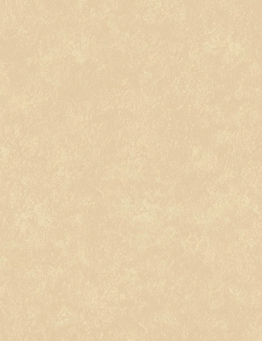 Обои Loymina Impress Stucco002/2