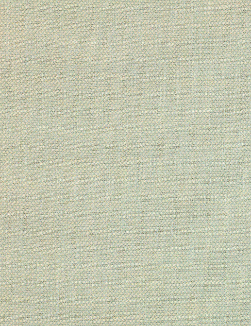Ткань Manuel Canovas Sarla 04929/07