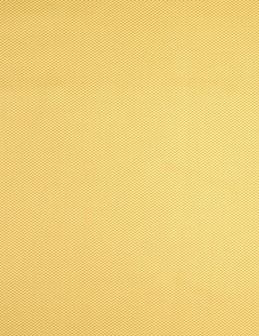 Ткань Galleria Arben Indian Market BENGALI/10/Sunflower