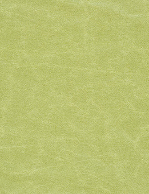 Ткань Designers Guild Arizona F1935/24
