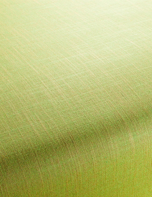 Ткань Chivasso Carlucci di Chivasso Two-Tone vol.2 CA7655/134