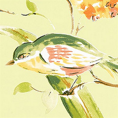 Обои Thibaut Waterlily T1150