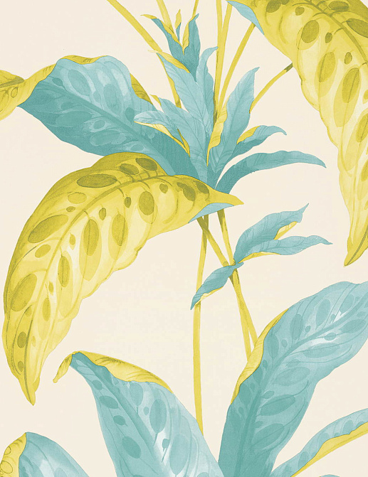 Обои Paint & Paper Library Botany 0360TRSCALL