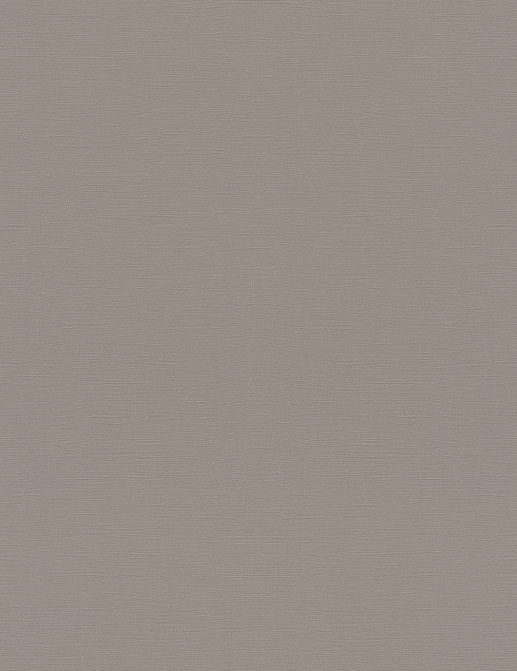 Обои Rasch Topical House 687545