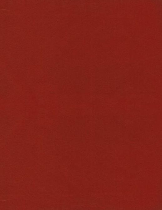 Ткань KAI Koji Koji/Guava