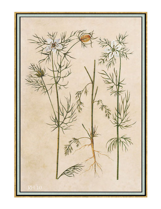 Панно и фотообои Iksel Scenic & Architectural Wallpapers Renaissance Herbier RH10