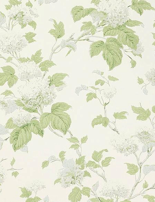 Обои Colefax and Fowler Jardine Florals 07816/07