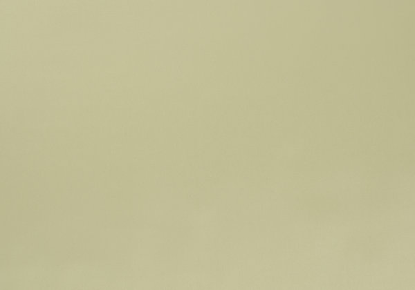 Ткань Designers Guild Santiago F1649/10
