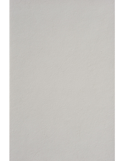 Обои Texdecor Kyoto 90411175