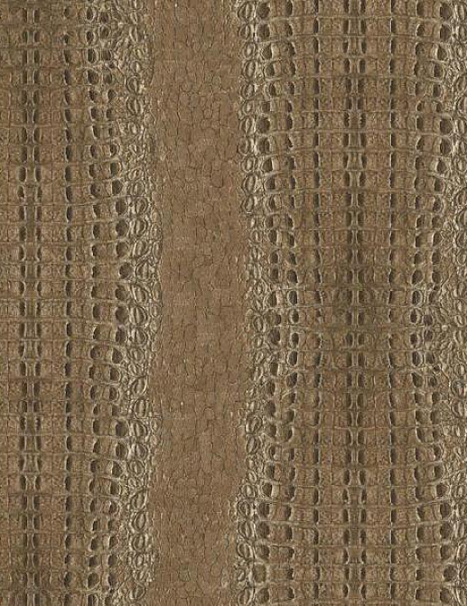Обои York Carey Lind - Menswear MW9250