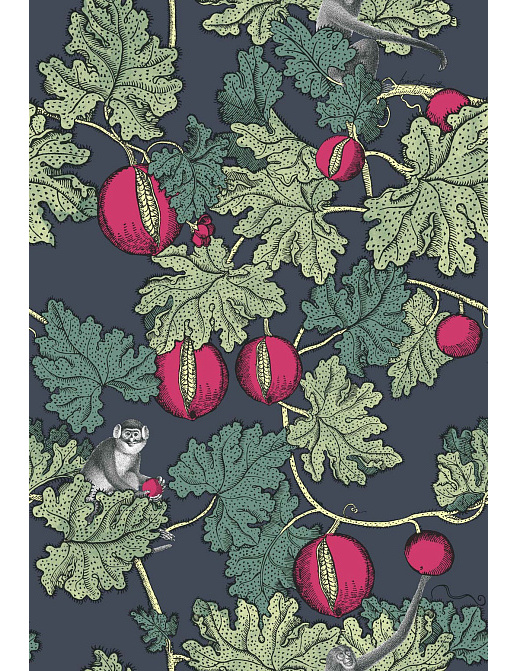 Обои Cole & Son Fornasetti Senza Tempo 114/1001