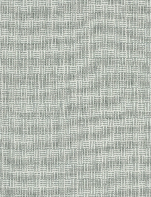 Ткань Designers Guild Brera Filato F1996/02