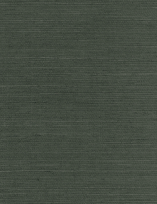 Обои Paper & Ink Pure Elements SY21877