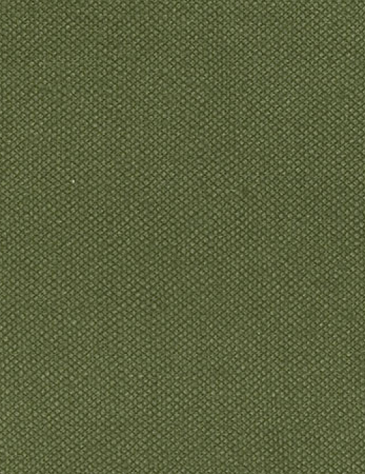 Ткань Designers Guild Bassano F1562/43