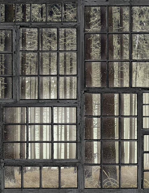 Панно и фотообои Hygge Wall Collection 4 H10911