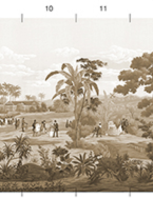 Обои Paul Montgomery Studio Melange Series West Indies Sepia