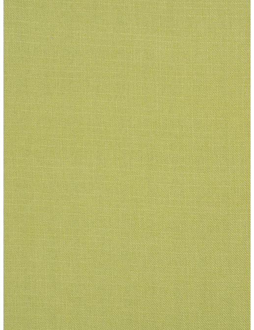 Ткань Trend Mammoth Twill 04466/Pear