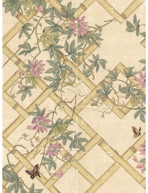 Обои Paul Montgomery Studio Fine Painted Wallpapers Passiflora