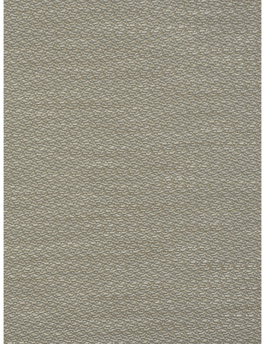 Ткань Trend Lifestyles By Color vol.IX Sand/Storm 04620/nickel