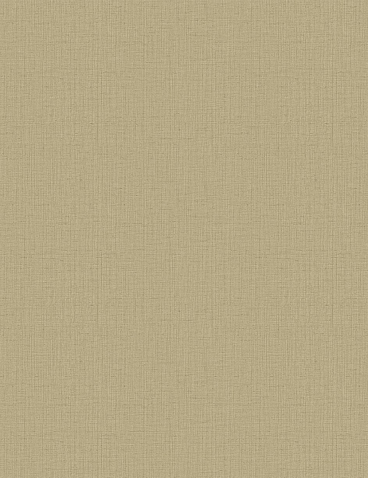 Обои Wallquest Geotex BW45825