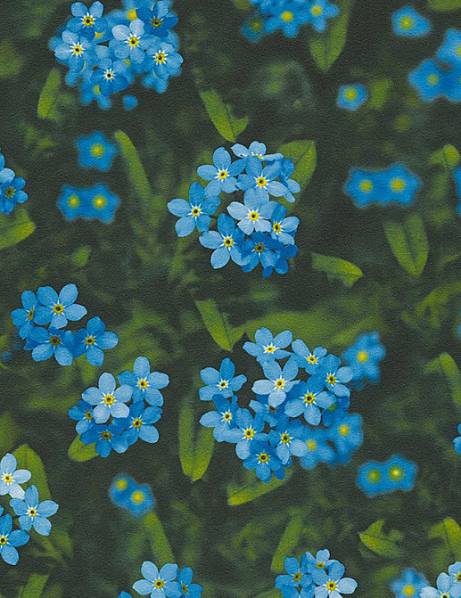 Обои A. S. Creation Dekora Natur VI 9593-22