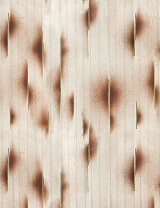 Панно и фотообои Wall & Deco Collection 2017 WDVL1702