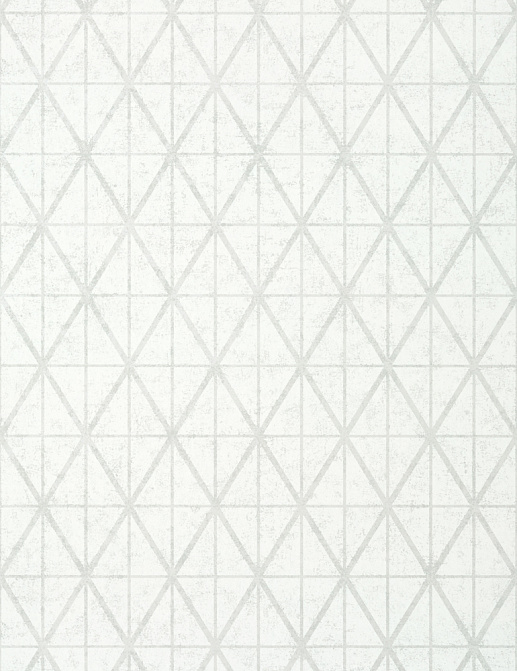 Обои Thibaut Modern Resource T443