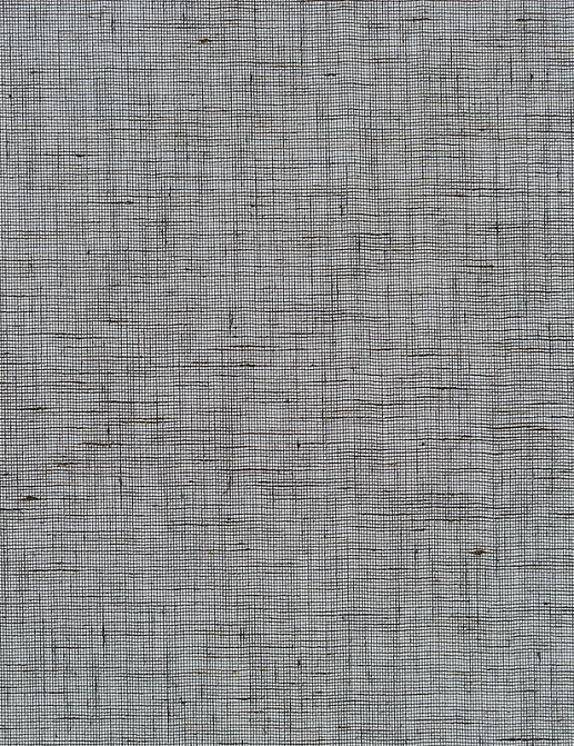 Обои Phillip Jeffries Tailored Walls 5565