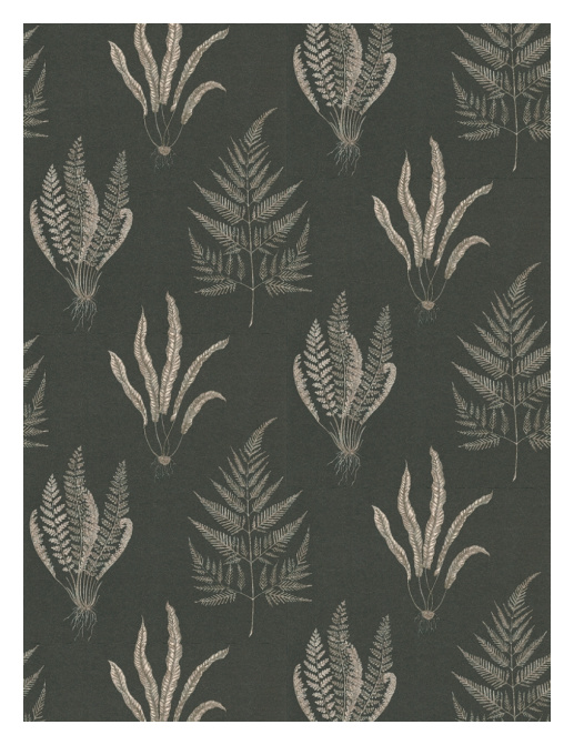 Обои Sanderson Wallpapers from a Painters Garden DAPGWO104