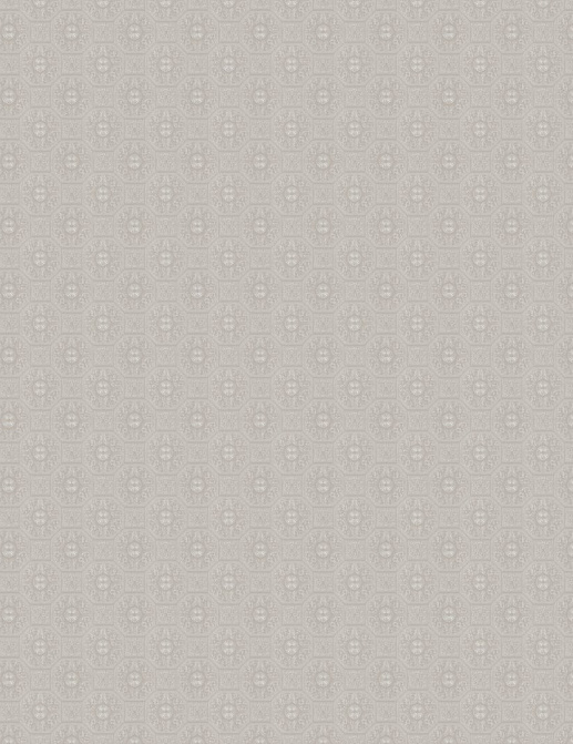 Обои Chivasso Curious CA9093-070