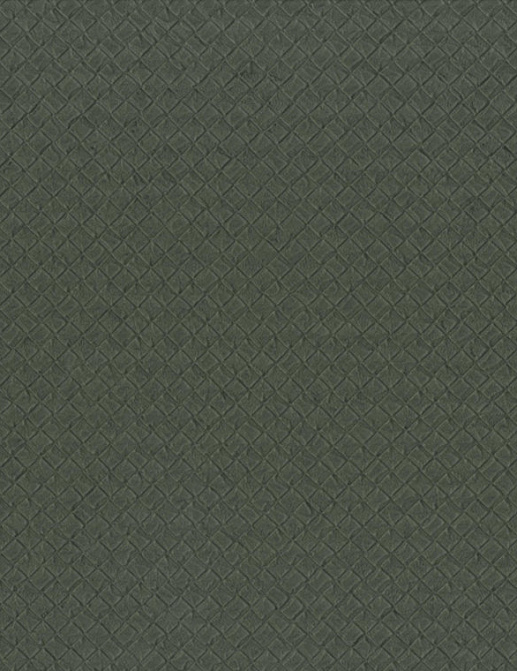 Обои Chivasso Casa CA8259-030