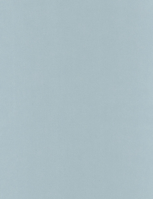 Обои Caselio Spaces SPA64529200
