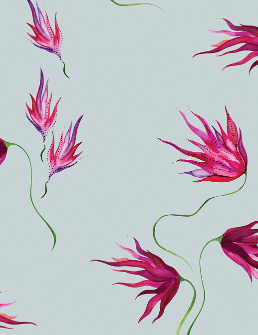 Обои Maison C Wallpaper Collection SKUED004