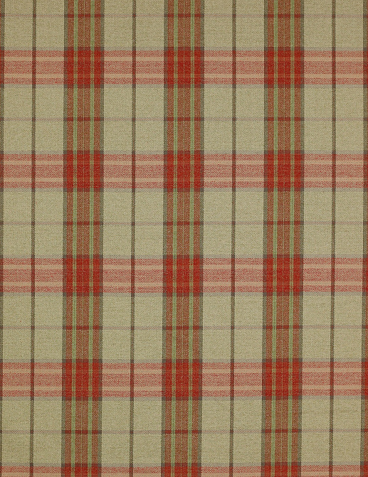 Ткань Colefax and Fowler Magnus Checks F4238/04
