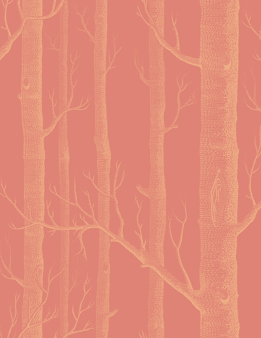 Обои Cole & Son New Contemporary 2 69/12146