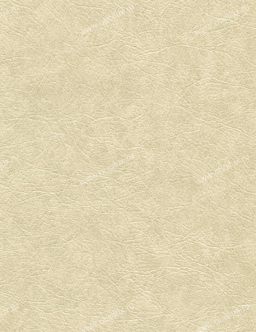 Обои Chesapeake Warner Textures WA4536