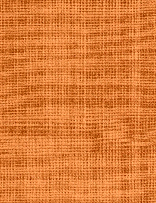 Обои Caselio Jute JTE104013139