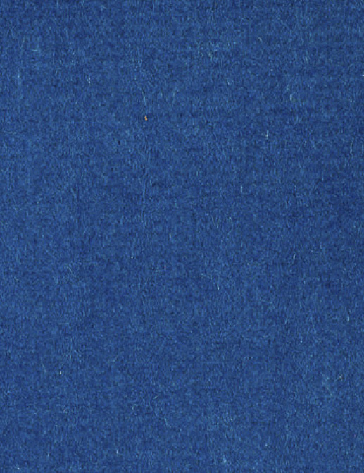 Ткань Alessandro Bini Velluto di Cotone G075/418